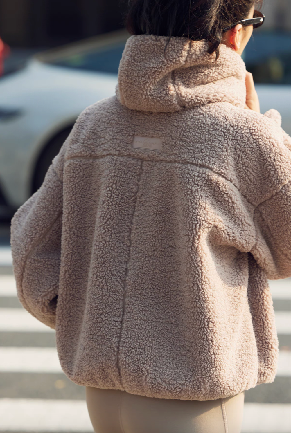Back view of Cozy Sherpa Thermal Hoodie Pullover in brown showing hooded design, relaxed fit, and plush sherpa texture in outdoor setting