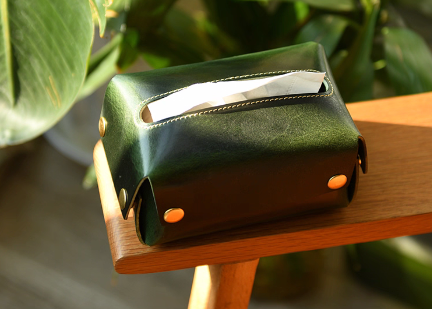 Olive green full-grain leather tissue box in sunlight on wooden bench with tropical leaves background.